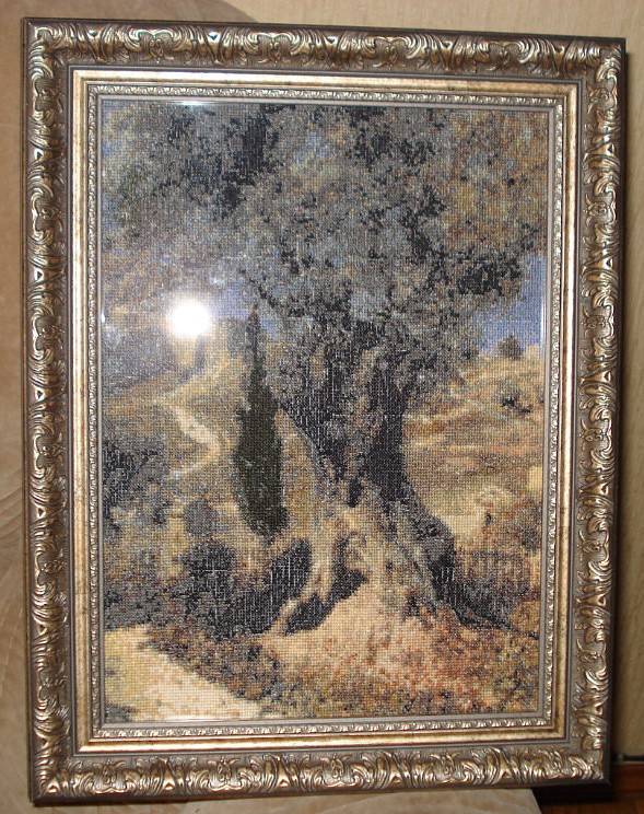 oliva_v_gefcimanckom_sady_polenov